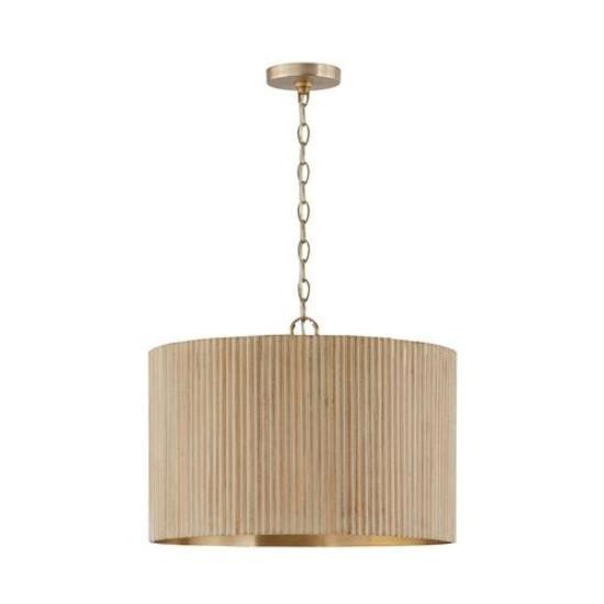 Capital Donovan 19" Large Pendant Light - MSRP $570