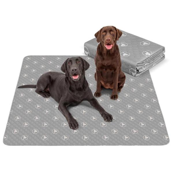 General Merchandise - Washable Pee Pads for Dogs, Multipurpose Hot and Cold Compress Gel Ice Packs - MSRP $1,399