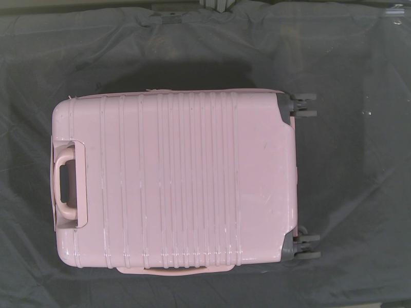 Mystery Box - Luggage from Luxury Department Store - Original MSRP $238
