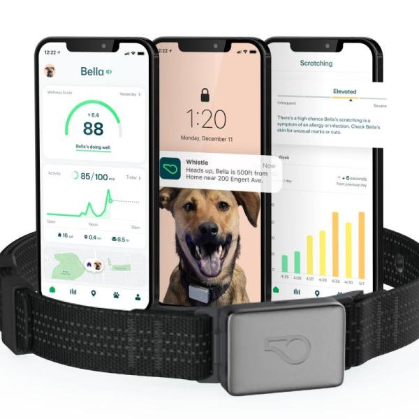 Pet Products - Whistle Switch GPS+Health+Fitness Dog Collar, YETI Boomer 8 Dog Bowl, PRTRFLC Bark Collar - MSRP $1,372