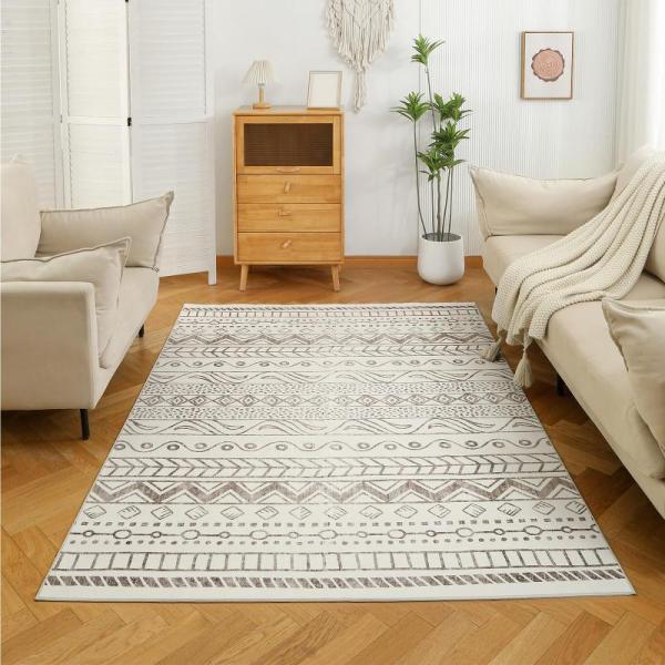 Area Rugs - Large Living Room Area Rug, Lahome Waterproof Outdoor Rug - MSRP $1,051