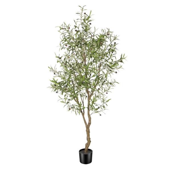 Home - Feelead Faux Olive Tree, Canvas Wall Art Prints, Keego Zebra Blinds - MSRP $7,259