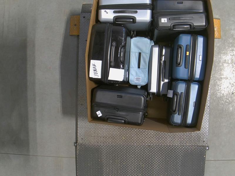 Luxury Department Store - Luggage