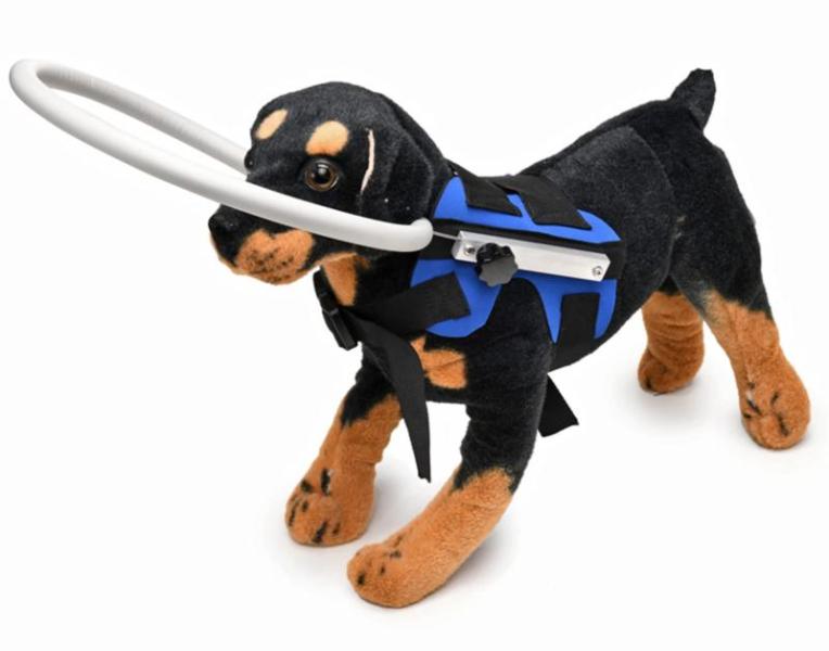 Pets - Interactive Dog Chasing and Slow Feeder, Cat Treat Gun, MHLLGN Chicken Treat Dispenser - MSRP $5,299