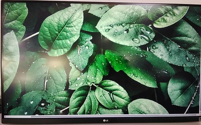 LG 32BP55U 31.5" 4K UHD Monitor - MSRP $714