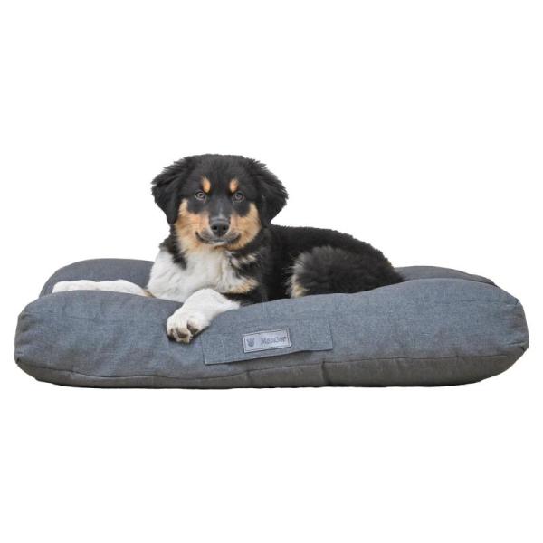 Pet Products - MaxCor Lg Rectangular Beige Memory Foam Dog Cushions, VIDUTC Chicken Water Heater - MSRP $2,039