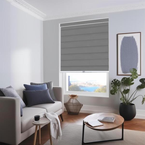 CHICOLOGY Zebra Blinds Roller, Window Shades - MSRP $61