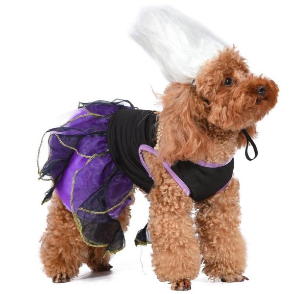 Amazon Clearance - Pets - The Dodo Yellow Dog Harness, DoggyRide Fashion Dog Collar, Teaser Cat Wand Toy Set - MSRP $1,392