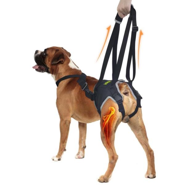 Pets - IDAE Cat Wall Shelves Set, Cat Tunnel Bed, Hpumps Aquarium Quiet Electric Filter - MSRP $6,220