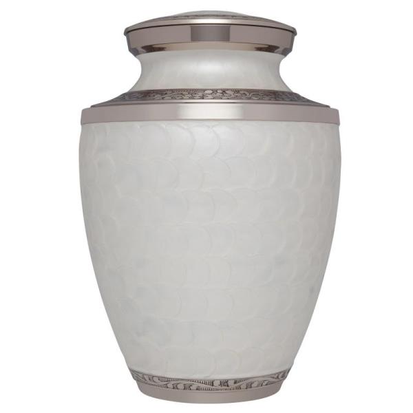 Home - Liliane Cremation Urn, HiEnd Pillow Shams, Ambesonne Window Curtain - MSRP $1,182