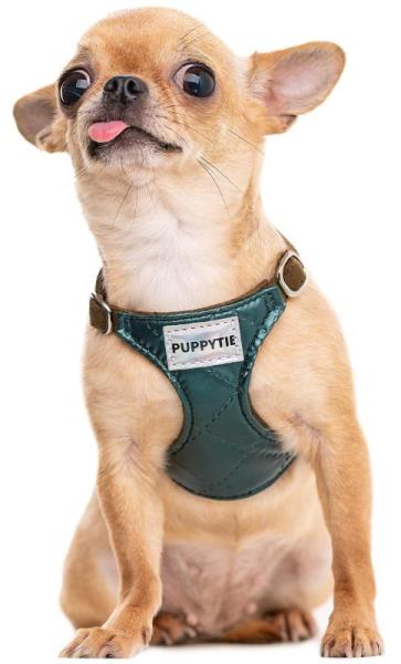 Pet Products- Cousin Carl's Maximum-Strength Skunk Repellent, VALLNEI 40/10 Detachable Pet Ceramic Blades- MSRP $14,985