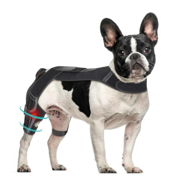 Pet Products - Petdream Dog Knee Brace, CHIYI Heated Cat Beds, JoyDaog Dog Jacket Harness, Petdream Brace -MSRP $11,280