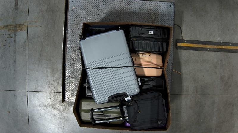 Luxury Department Store - Luggage