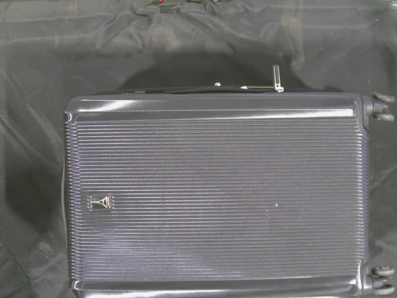 Luxury Department Store - Luggage