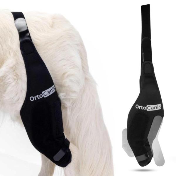 Pet Products - Ortocanis Dog Knee Brace, Dog Car Seats, Dog Hair Dryers, Pet Hair Removers - MSRP $12,920