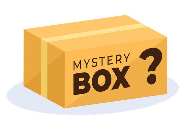 Surprise Mystery Box - Wholesale Bulk Lot (MSRP is over $2,000)