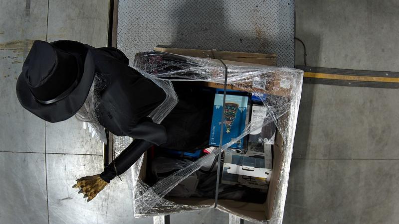 Zoeller 1HP 115V 48Gal Cast Iron Sewage Sump Pump, Haunted Living 7ft Pop-Up Keeper of Time Motion - MSRP $2,838