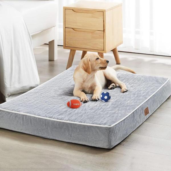 WNPetHome Orthopedic Dog Bed, Blue Wave Pool Liner, Outprize Vertical RV Window - MSRP $1,171