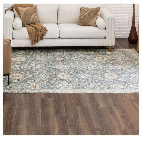 Allen & Roth Area Rug, Zoeller Sump Pump, Govee Curtain Lights - MSRP $3,113