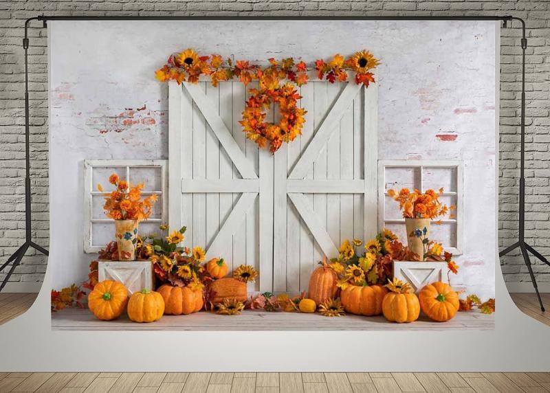 Camera - Harvest Photo Backdrops, Blue Hot Air Balloon Round Backdrop, Fringe Curtains Backdrops - MSRP $1,625