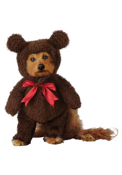 Pet Products - California Costumes Teddy Bear Pet Costume, Dr. Seuss for Pets The Cat in The Hat - MSRP $1,120