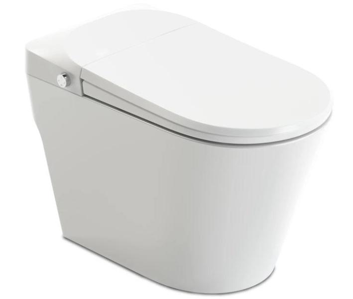 Anzzi TL-STFF950WH Toilet - MSRP $1,101