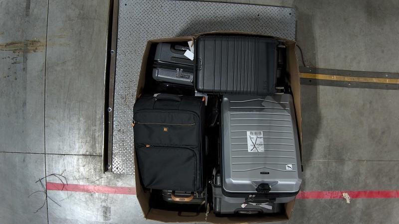 Luxury Department Store - Luggage