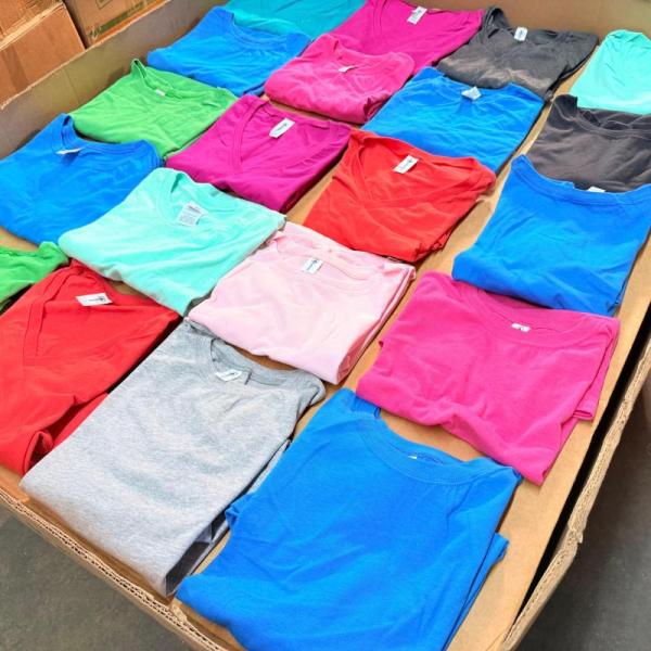 Bulk Lot of 100 Delta Brand Men's & Ladies T-Shirts
