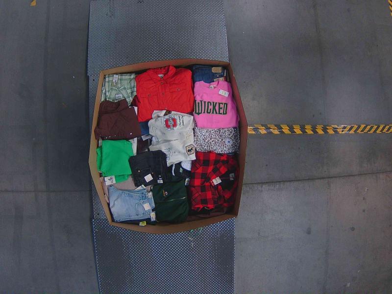 Apparel - Levi's, Champion, Converse, A New Day, Wild Fable, Skechers - Est Retail $9,182- 1 plt