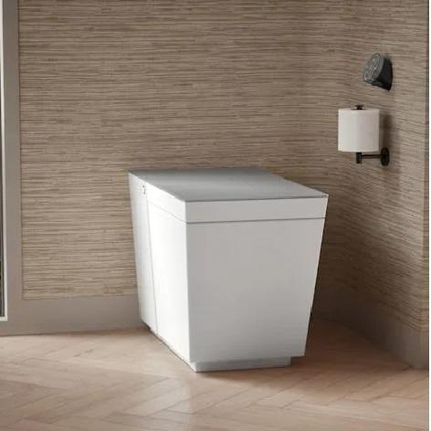 Kohler K-30754-PA-0 Elongated Toilet - MSRP $12,999