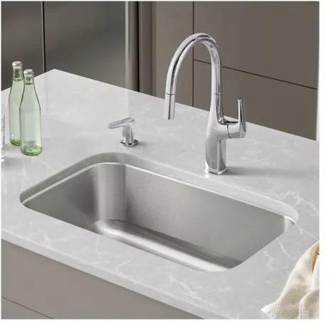 Blanco 442576 Stainless Steel Kitchen Sink - MSRP $296