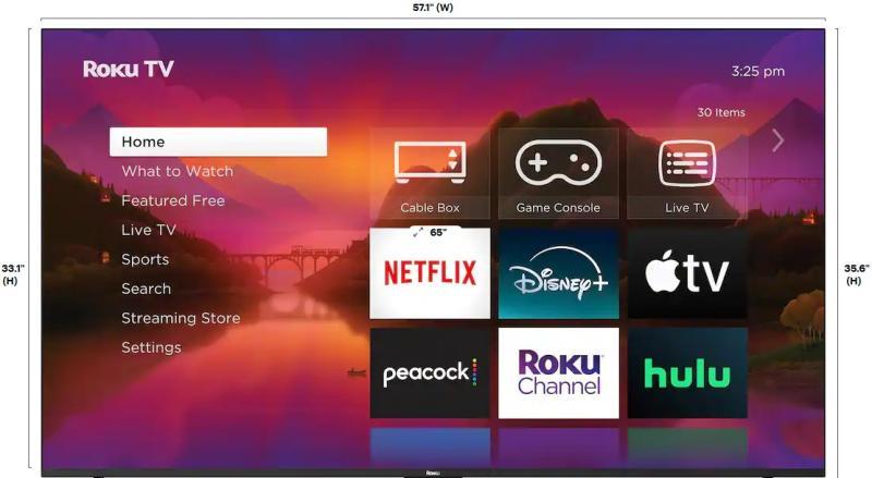 Salvage - Roku 65" Select Series 4K HDR Smart Television with Roku Remote - MSRP $200