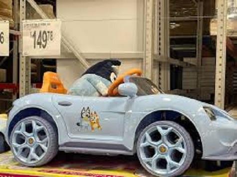 Power Wheels - BLUEY 12V RIDE ON, 12V YAMAHA RAPTOR, VOLT X 24V GO KART - MSRP $926