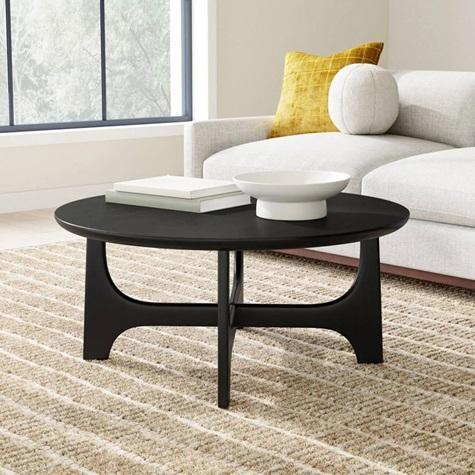 Furniture - Birch Lane Bilbrey Leather Side Chair, Corrigan Studio Alida Coffee Table - MSRP $2,406