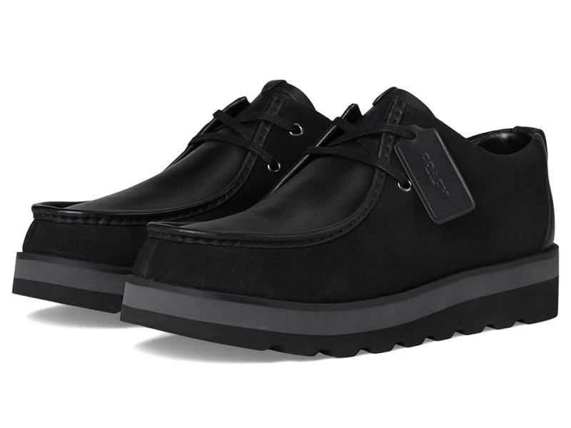 Shoes- COACH BLK 7 D SCTT, Donald Pliner Women SUZETTE Pump, Chaco Women's Townes Sandal - MSRP $2,188