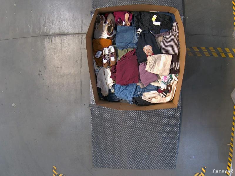 Apparel - Goodfellow & Co, Levi's, Haggar, All in Motion, Future Collective - Est Retail $8,511- 1 plt