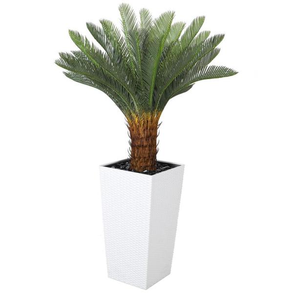 Home - Jocoevol Artificial Palm Tree, MACIFECI White Cylinder Stands for Party  - MSRP $4,176