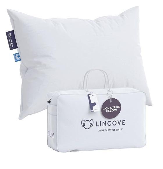Lincove Signature 100 Natural Canadian White Down Pillow, JONATHAN Y FLD1000B-SET2 Rattan Folding Chairs - MSRP $1,939