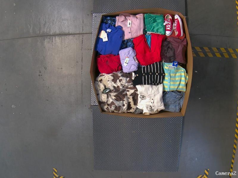 Apparel - Levi's, Champion, Universal Thread, KBB by Kahlana, Future Collective - Est Retail $10,602