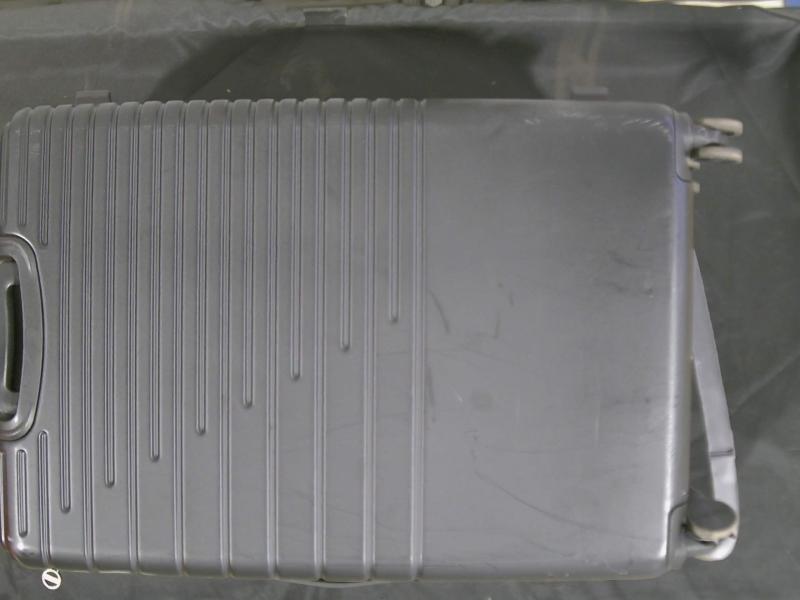 Luxury Department Store - Luggage