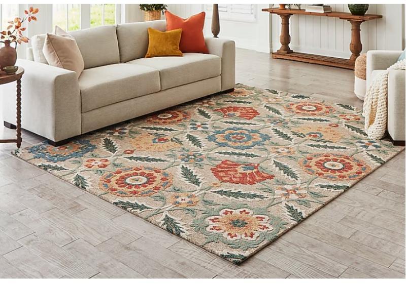 Allen+Roth Covert Sparks 8x10ft Area Rug, Camp Chef 60qt Boil Pot, Graco EVO PLUS Paint Sprayer, Kobat - MSRP $2,501