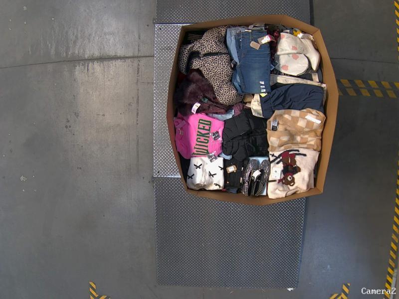 Apparel - Levi's, Ava & Viv, Wild Fable, Champion, Universal Thread, A New Day - Est Retail $10,296