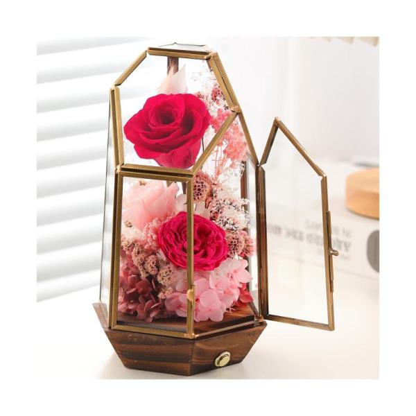 Home - Forever Real Preserved Roses, HEPA Car Air Purifier, Baluee Nutcracker Figure - MSRP $19,055