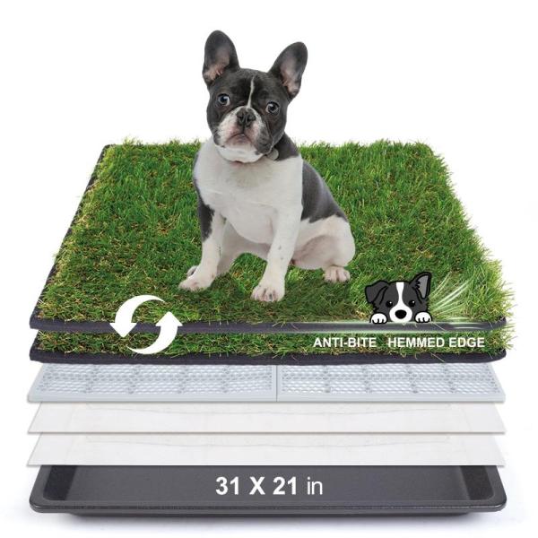 Pet Products - Crispedia Dog Stairs, GuaiZhuRen Bentonite Cat Litter, PetFun Orthopedic Dog Bed  - MSRP $2,061