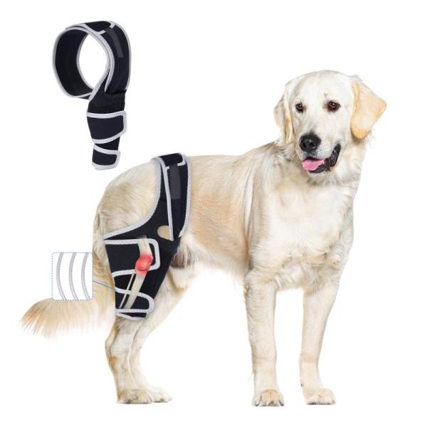 Pet Products - Dog Knee Brace, Kuoser Dog Jacket, Kathson Rabbit Hay Feeder - MSRP $11,752