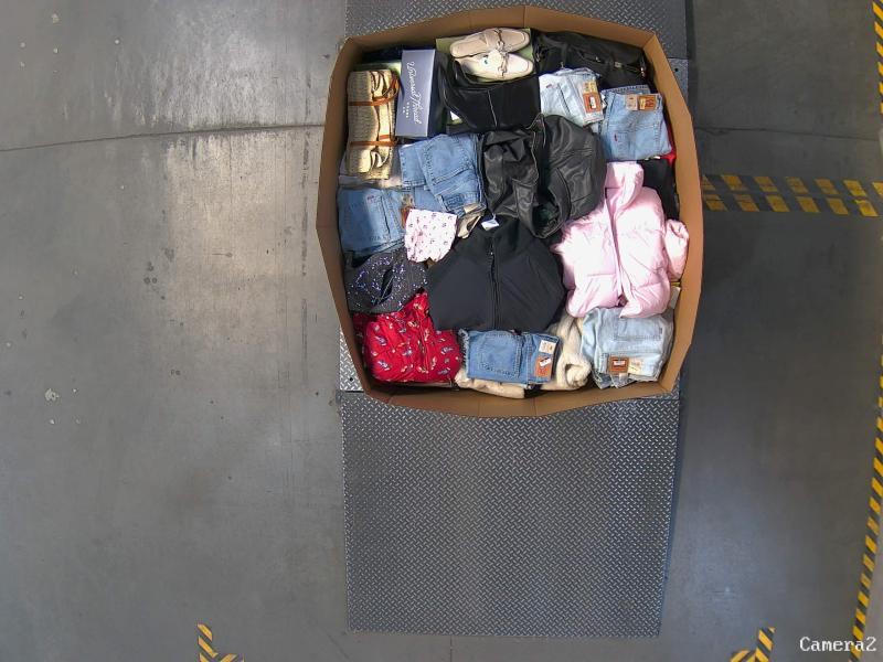 Apparel - Levi's, Woolrich, Universal Thread, Ava & Viv, A New Day - Est Retail $10,451