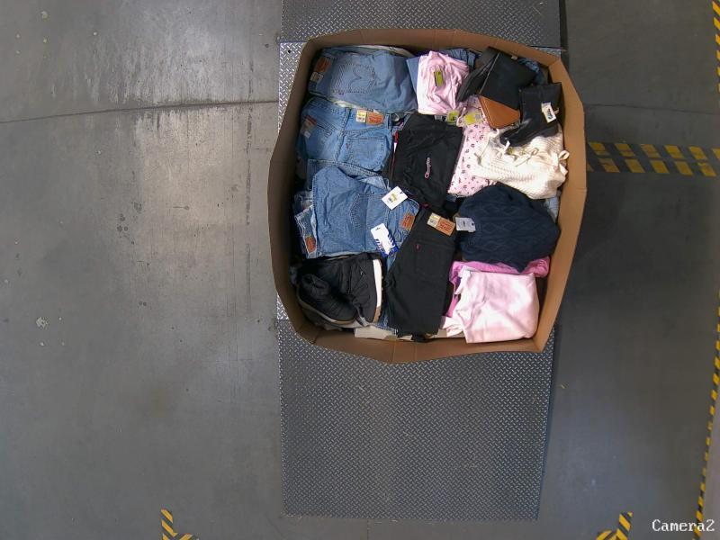 Apparel - Joylab, Levi's, Champion, Ava & Viv, Woolrich - Est Retail $10,244