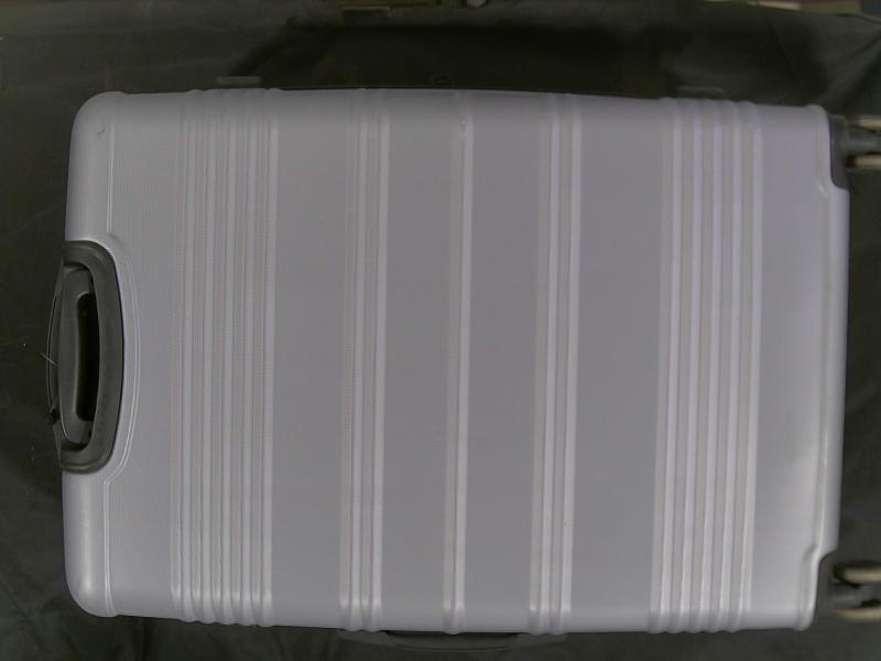 Luxury Department Store - Returns Luggage