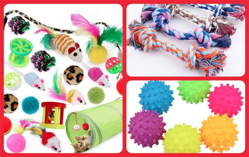 300 Units Pet Toys and Accessories - Great Assortment For Cats & Dogs