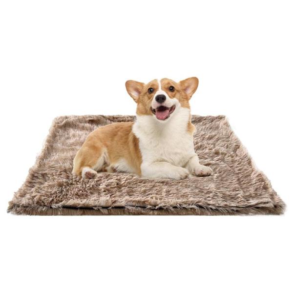 Pet Products - VVWVVW Pet Steam Brushes, IMMERCOZY Pet Hair Removal Brush, PJYuCien Fluffy Pet Blanket - MSRP $3,056